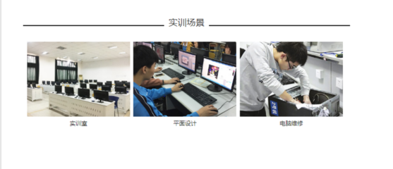 計算機應用與維修與網(wǎng)絡設備銷售 現(xiàn)代信息技術服務的雙重支柱
